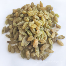 2021 crop xinjiang dried fruit  Low prices raisins  green raisins